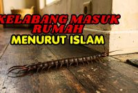 kelabang masuk rumah
