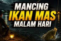Tips Mancing Ikan Mas Malam Hari