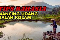 Rahasia Sukses Memancing Udang Galah Kolam