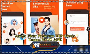 Akses Fitur Premium VIP Gratis Via Tantan MOD APK